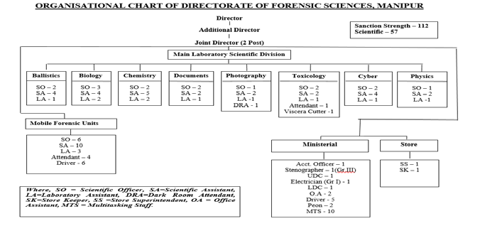 ORGANISATION CHART